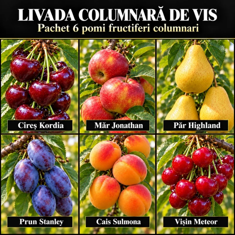 Livada Columnară de Vis – Pachet 6 Pomi Fructiferi Columnari